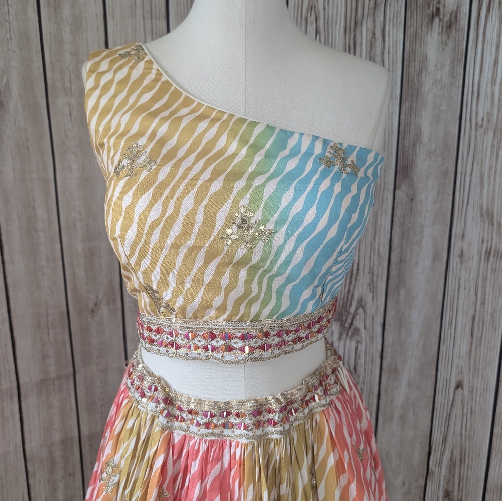 Beautiful colorful Lehenga Choli Set - Picture 4 of 17